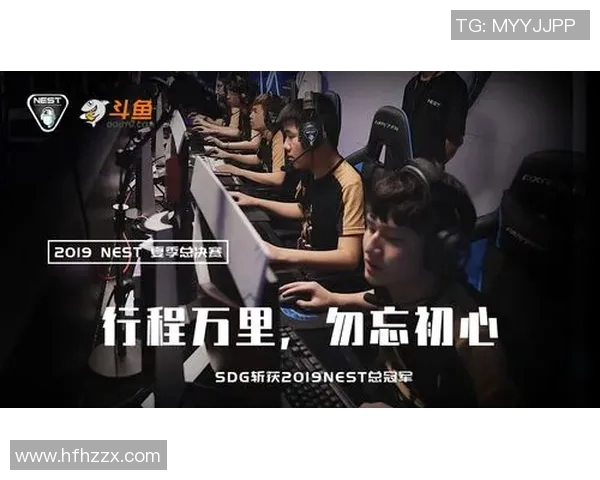 电竞比分解析BLG战术体系中的阵地战策略与执行细节